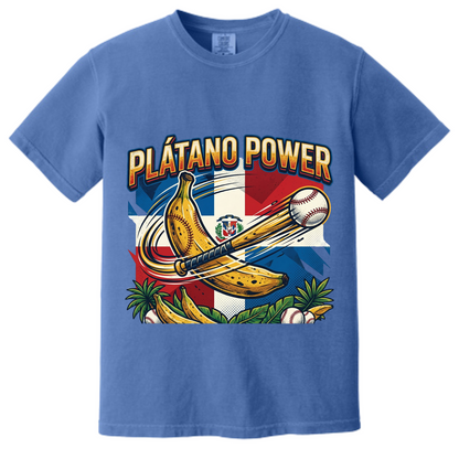 Platano Power Baseball Team